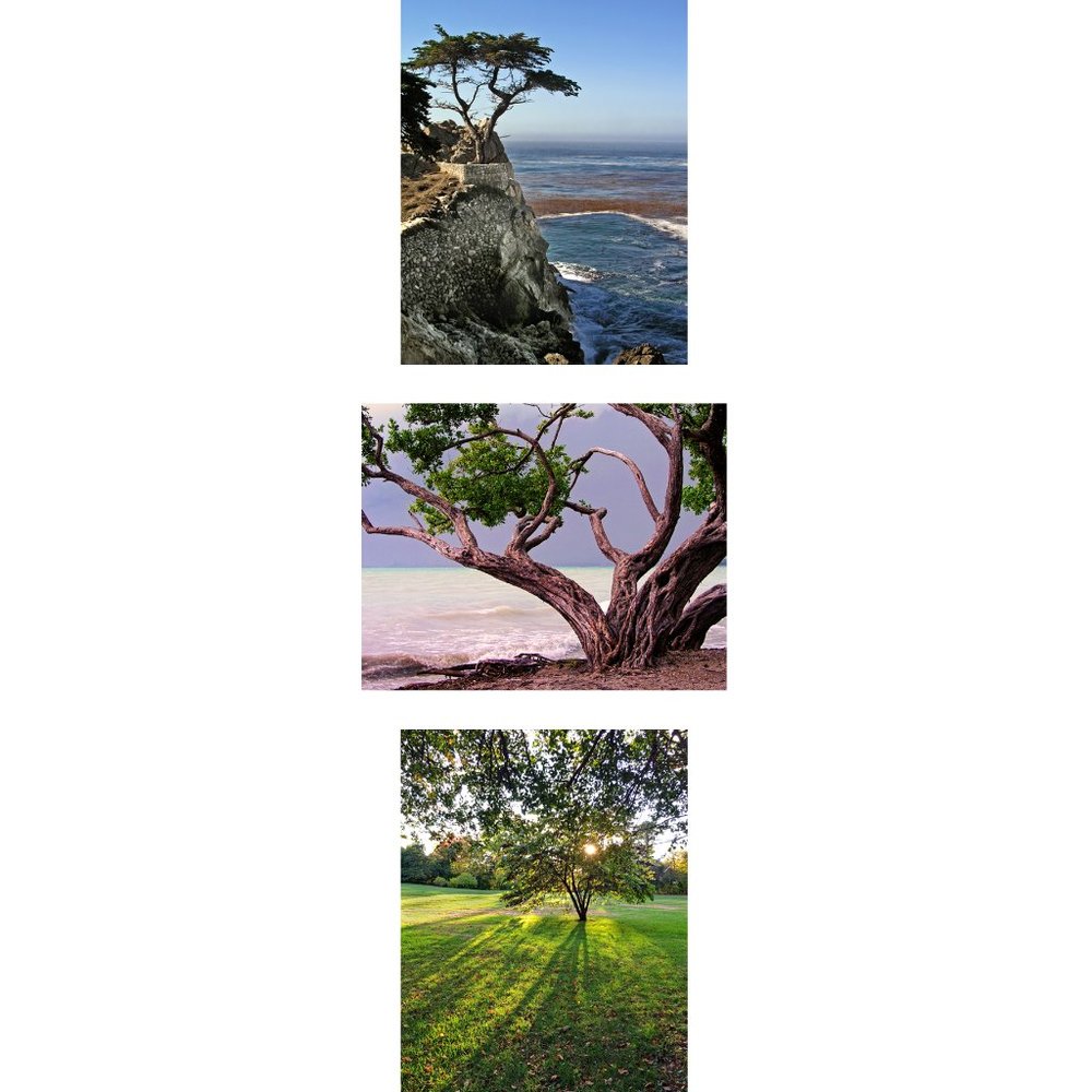Create a Theme!